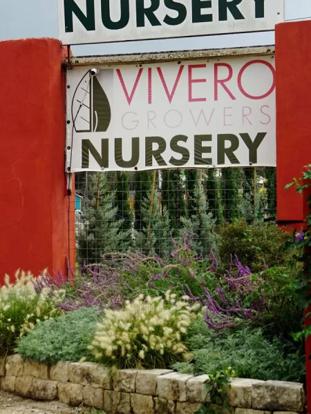 Landscape bed at Vivero Growers